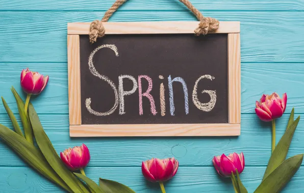 Flowers, Board, spring, tulips, wood, flowers, tulips, spring
