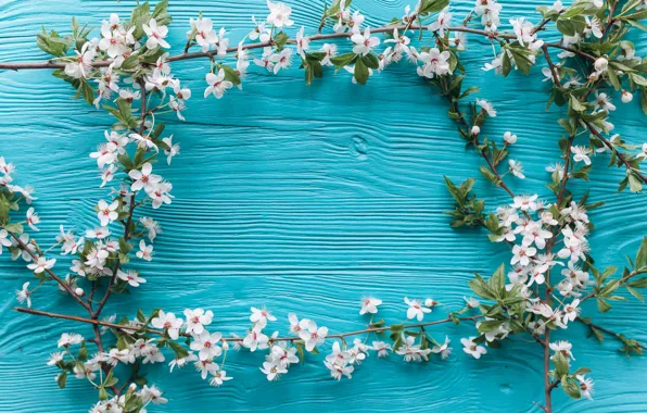 Picture flowers, branches, spring, flowering