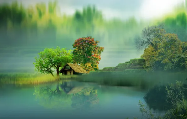 Trees, landscape, nature, lake, house, reflection, graphics, digital art