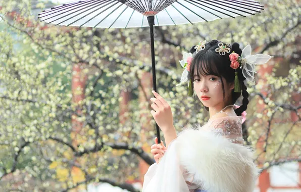 Beautiful, Asian, Model, Flower, Tree, Umbrella, Woman, Pretty