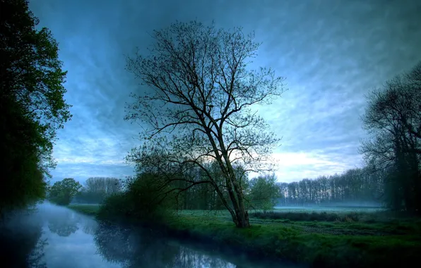 Picture clouds, trees, fog, river, morning