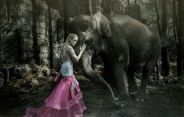 Picture girl, elephant, the situation