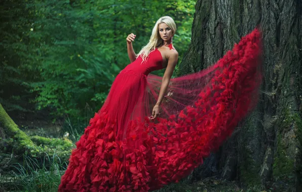 Picture pose, tree, model, dress, red dress
