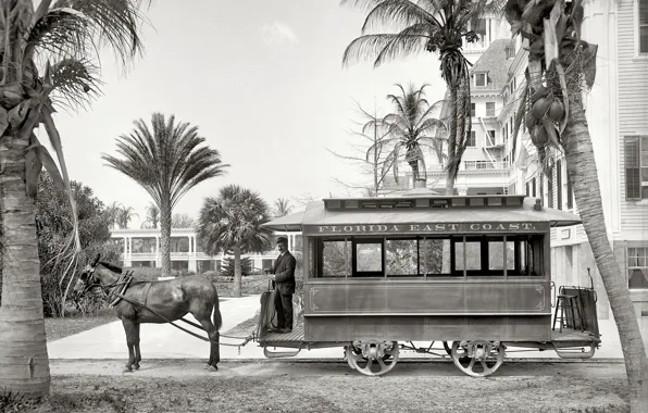 Picture retro, Palma, FL, USA, 1903-the year, Conca