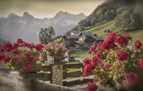 Flowers, mountains, Austria, village, Alps, houses, Austria, Alps