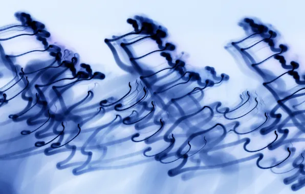 Abstraction, color, form