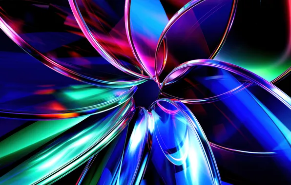 Picture flower, colorful, abstract, plexus, Glassy, flower, colorful, abstract