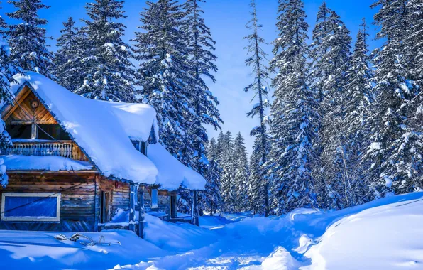 Winter, road, forest, snow, trees, house, Russia, Khabarovsk Krai