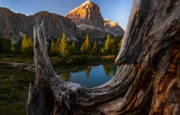 Forest, light, mountains, lake, reflection, blue, tree, rocks