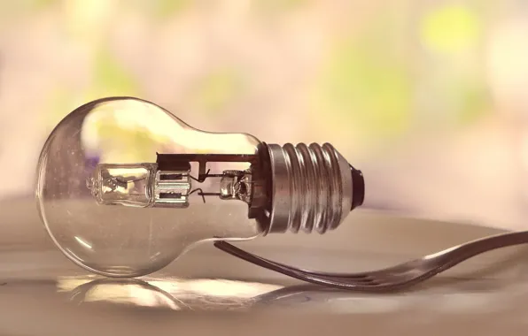 Picture light bulb, macro, plug