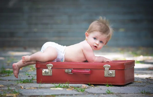 Picture surprise, baby, suitcase, diaper