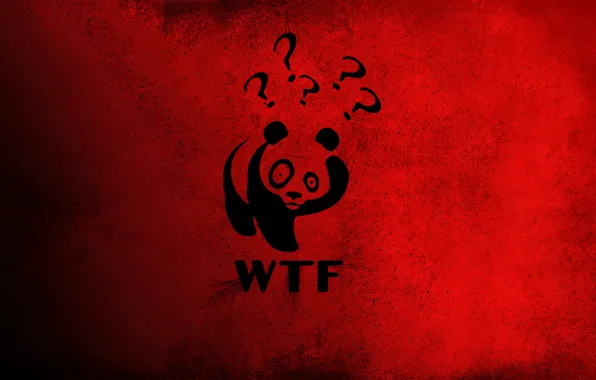 Picture red, Panda, China, Winnie The Pooh, wtf, the question mark, big eyes.