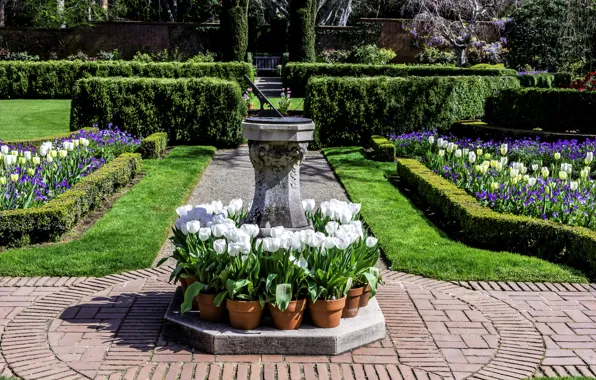 Flowers, design, lawn, garden, CA, track, crocuses, tulips