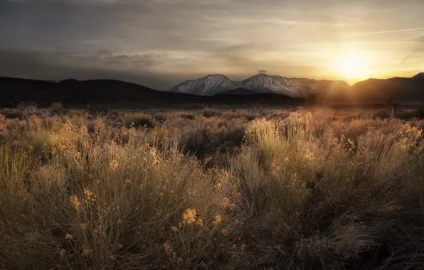 Field, sunset, mountains, nature