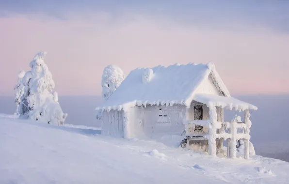 Winter, white, the sky, snow, nature, house, in the snow, view