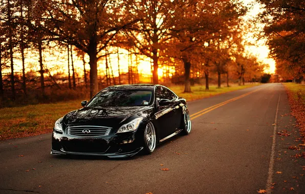 Road, autumn, trees, sunset, tuning, coupe, car, infiniti