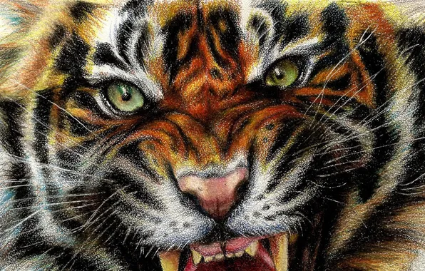 Picture tiger, art, tiger