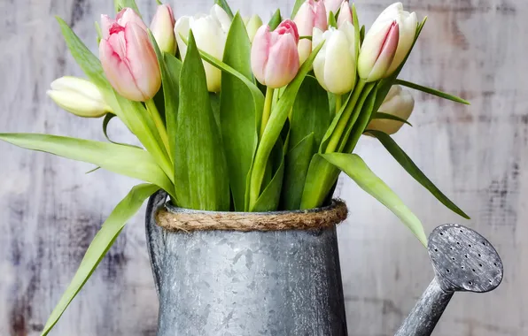 Tulips, lake, flowers, tulips, spring