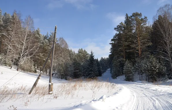 Winter, road, landscape, nature, photo, turn