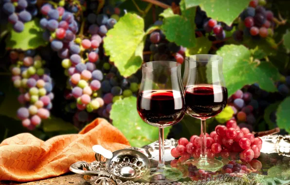 Leaves, branches, wine, red, glasses, grapes, tray