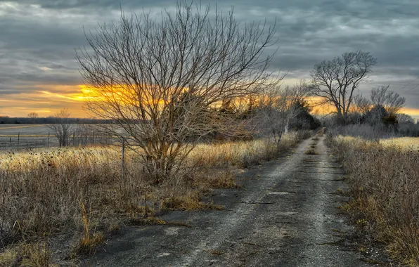 Road, field, night