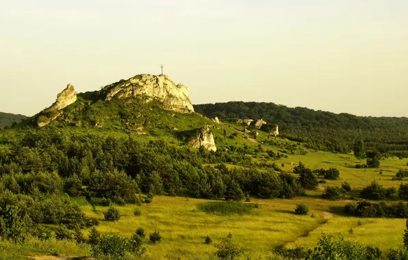 Landscape, nature, mountain, Poland, Gmina, Tatrzanska, Bukowina