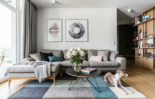 Picture room, Talosi Apartment, living room, interior