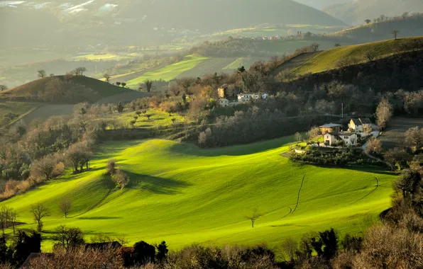 Field, grass, trees, mountains, hills, home, Italy