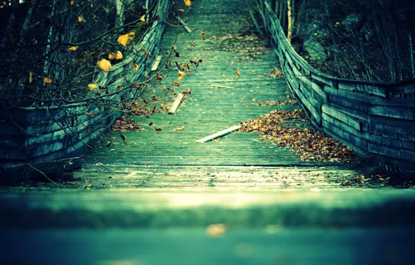 Picture autumn, leaves, branches, bridge, Board, yellow