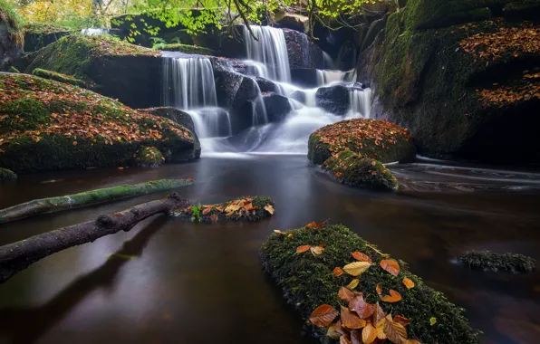 Autumn, leaves, river, stones, France, waterfall, cascade, France