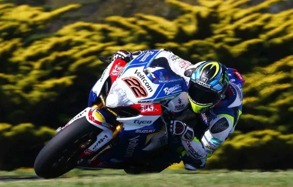 Picture Motorcycle, Suzuki, Race, Moto, WSBK