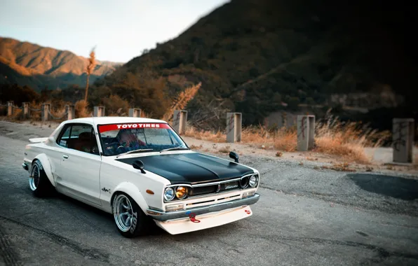 Auto, White, Machine, Nissan, Lights, Car, 2000, Skyline