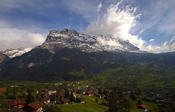 Greens, summer, mountains, home, Switzerland, town, Eiger