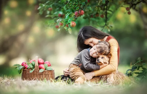 Picture girl, love, basket, woman, apples, dog, boy, Apple