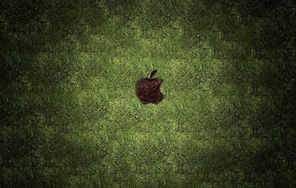 apple wallpaper grass