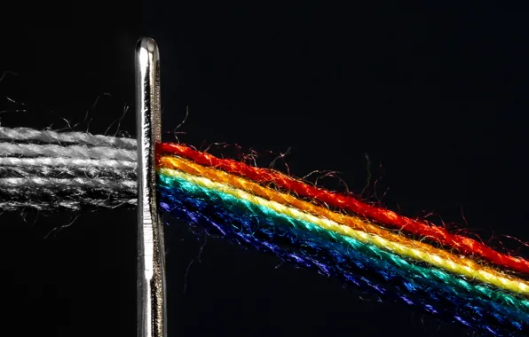 Macro, thread, needle