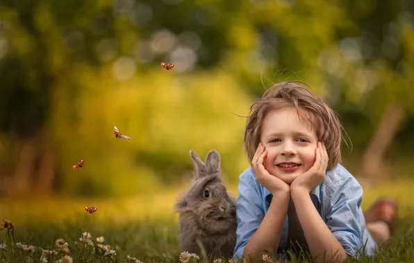 Boy, rabbit, friends