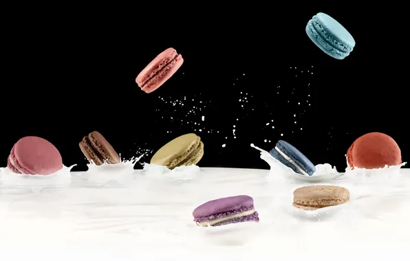 Milk, cakes, macaroon