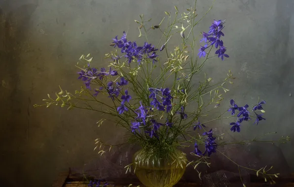 Flowers, blue, sprig, background, blue, bouquet, still life, box