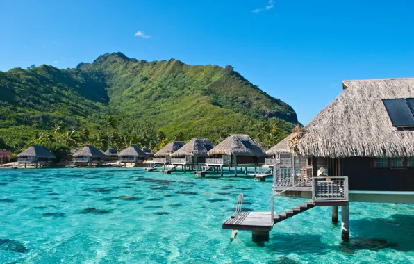 The ocean, exotic, Moorea, French Polynesia, bungalovy hotel