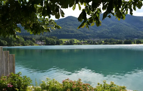 Water, nature, lake, photo, coast, Austria, St. Gilgen