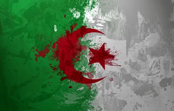 Paint, flag, Algeria, Algeria