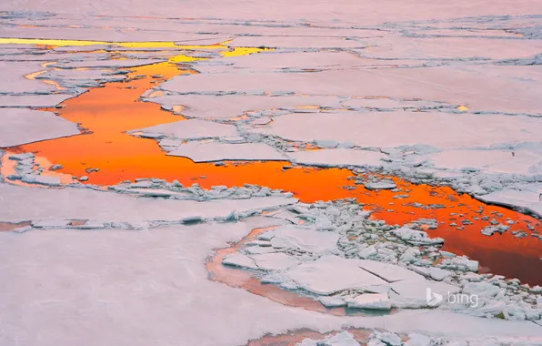 Ice, water, sunset, reflection, Antarctica, polynya