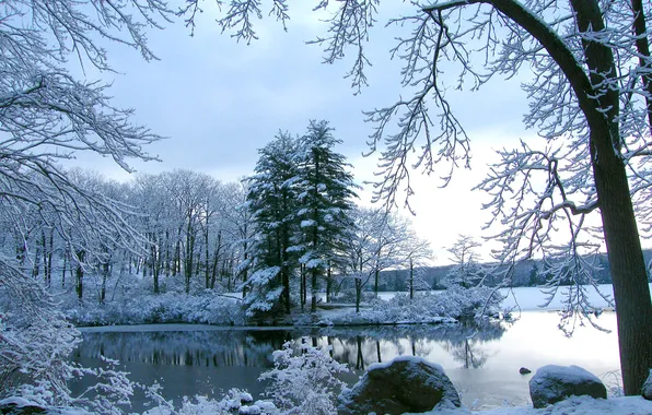 Picture snow, stones, Trees, pond