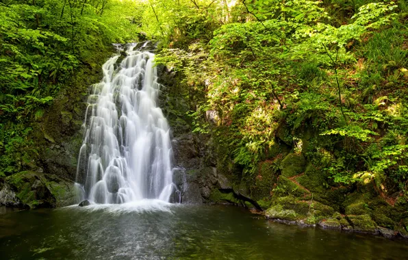 Picture water, trees, nature, stones, waterfall