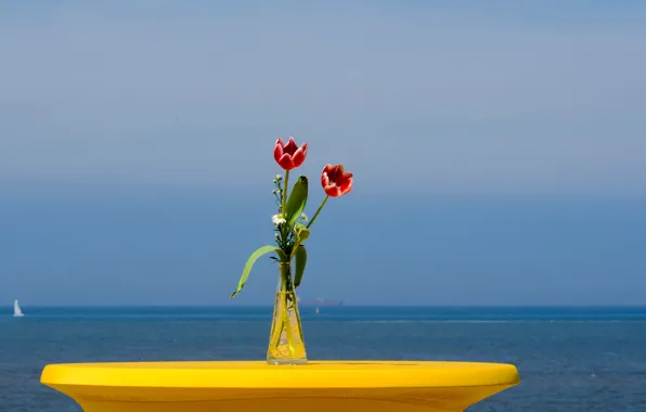 Sea, the sky, flowers, yacht, tulips, sail, vase