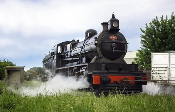 Nature, smoke, the engine