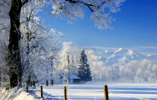 beautiful snow scenery
