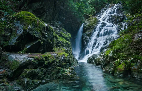 Water, trees, nature, rocks, waterfall, moss, Canada, Canada