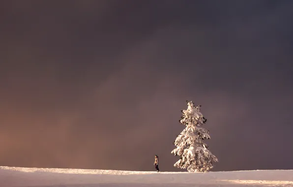 Picture winter, landscape, tree, people